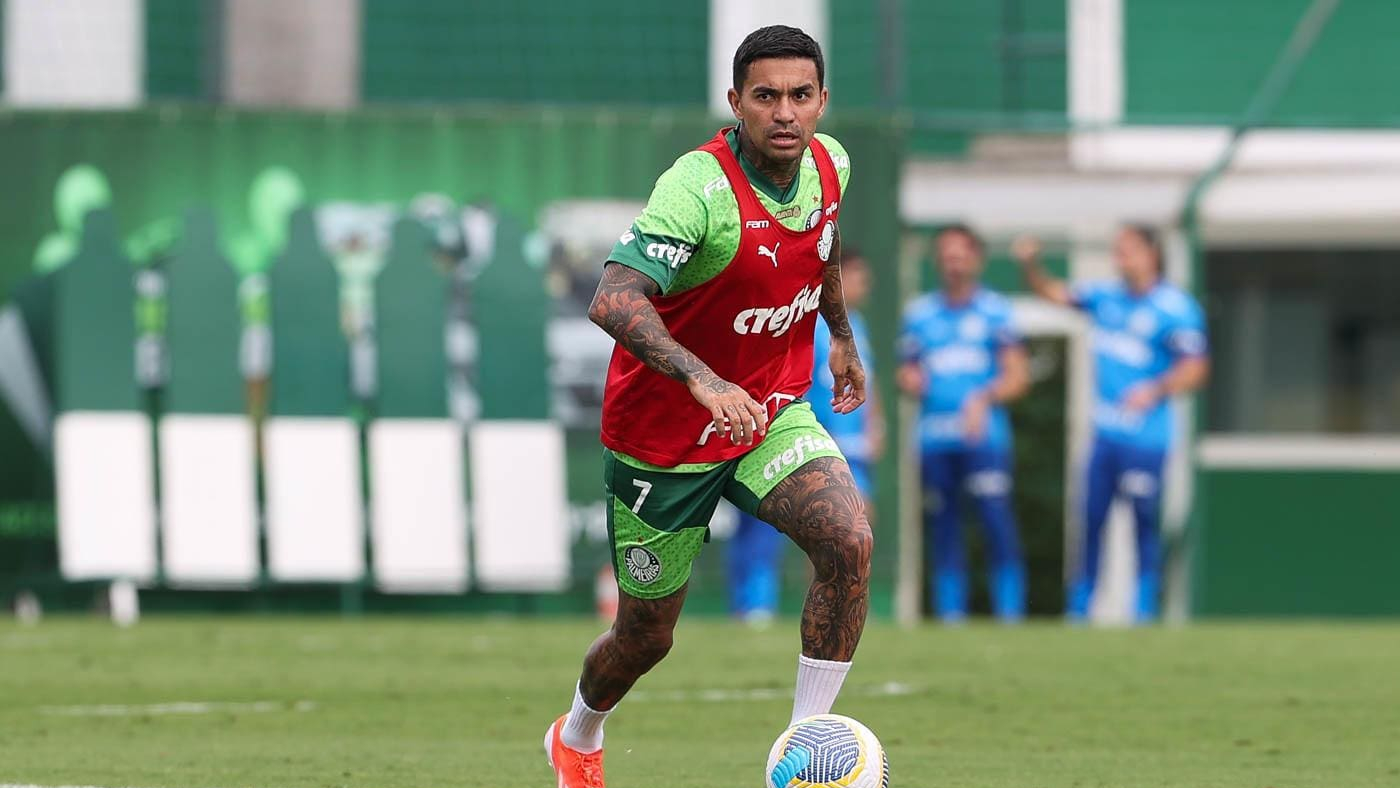 (Foto: Cesar Greco / Palmeiras)