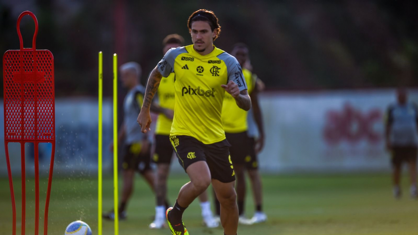 (Foto: Marcelo Cortes / Flamengo)