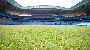 Grêmio x Atlético-MG: saiba como assistir AO VIVO, prováveis escalações e mais